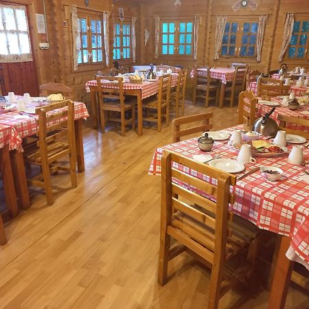Casa Edelweiss - Gyopár - Flore de colt Rimetea Exterior foto