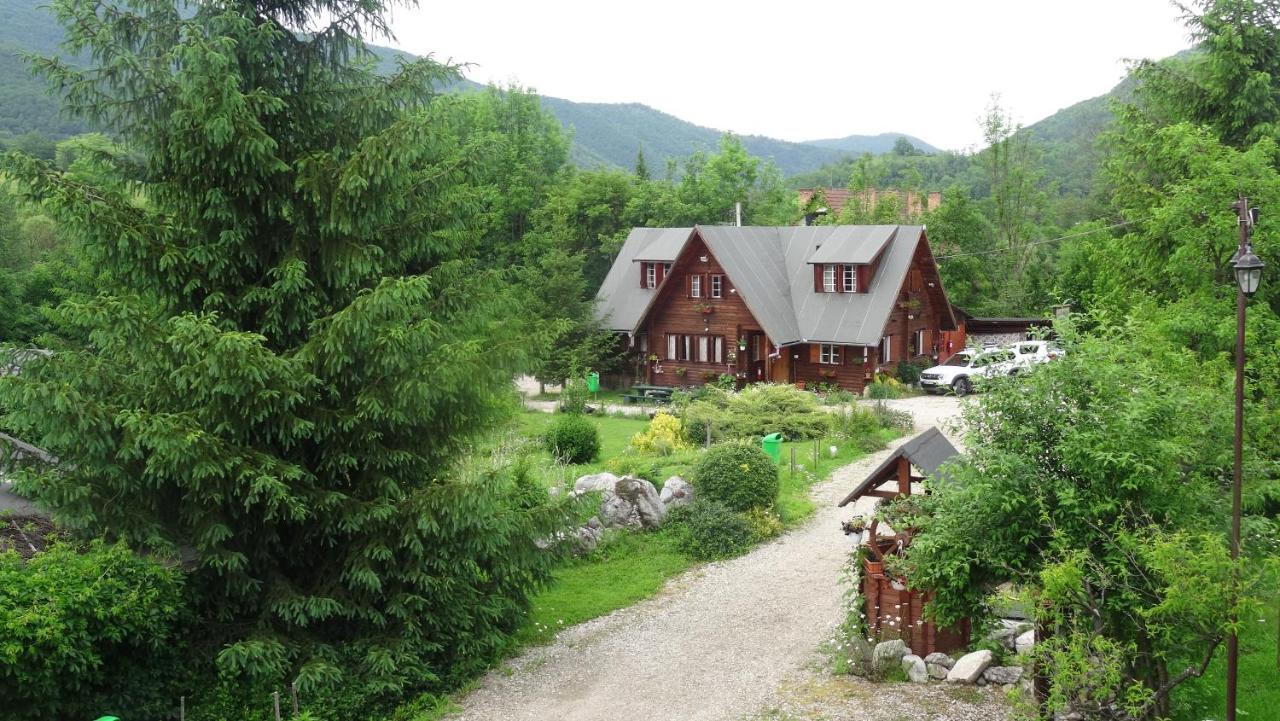 Casa Edelweiss - Gyopár - Flore de colt Rimetea Exterior foto